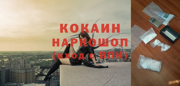 кокс Богородицк