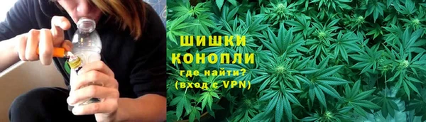 ГАЛЛЮЦИНОГЕННЫЕ ГРИБЫ Богданович